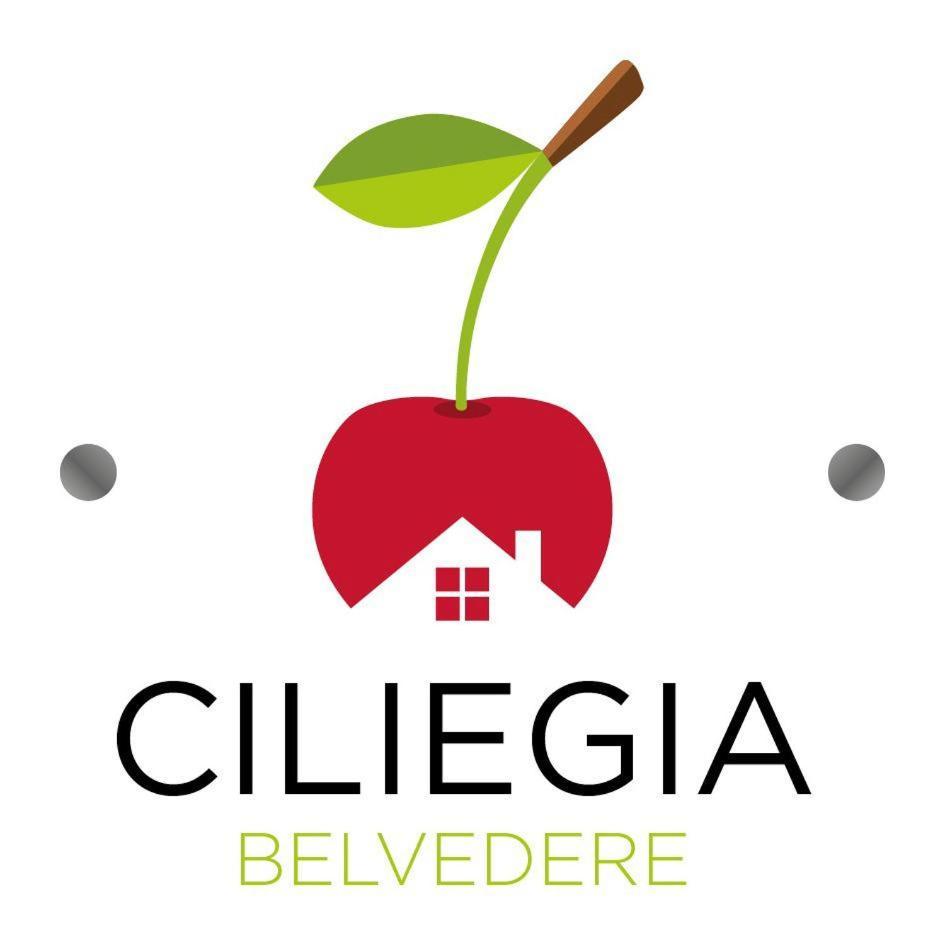 Ciliegia Di Lari - Attico Βίλα Εξωτερικό φωτογραφία